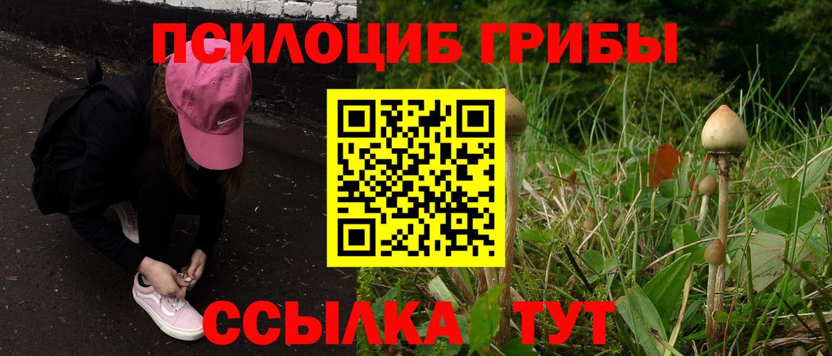 Галлюциногенные грибы мицелий Краснокаменск